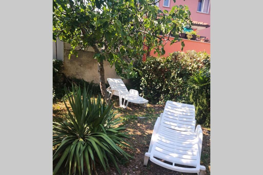 Casa Di Nonna Pina, Kuca U Blizini Arene Διαμέρισμα Πούλα Εξωτερικό φωτογραφία